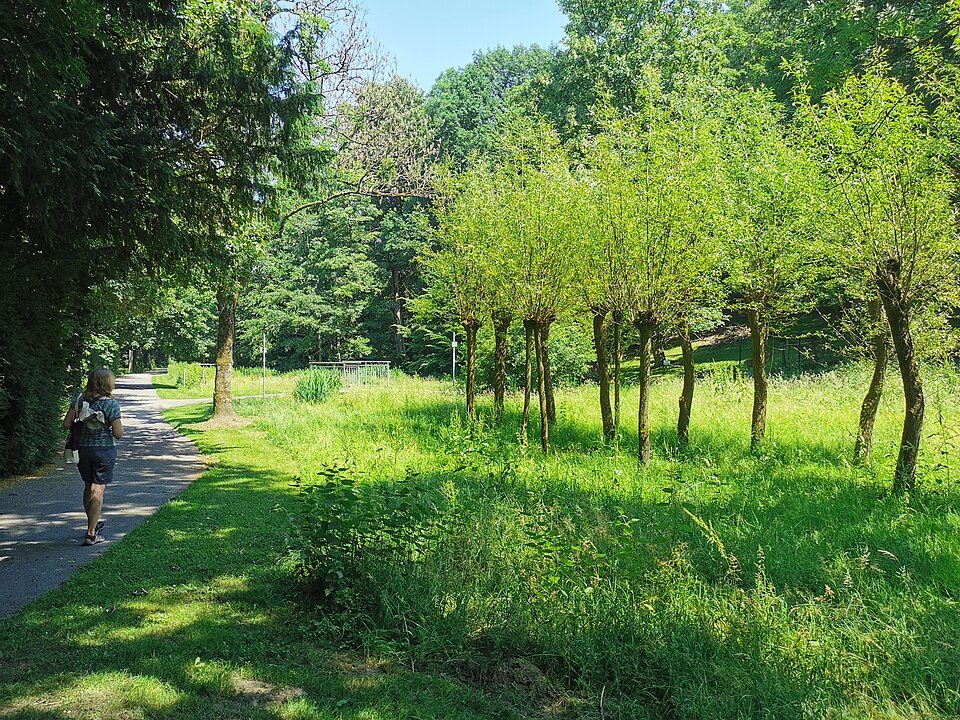 Weg entlang einer Wiese mit jungen Bäumen und renaturiertem Bach im Südpark Höntrop in Bochum-Wattenscheid