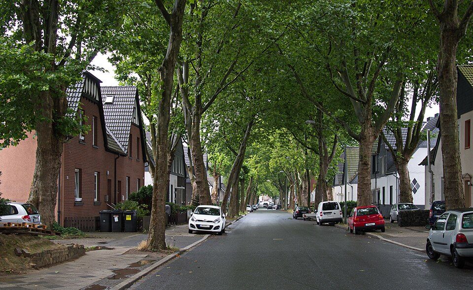 Weststraße in Bochum-Leithe mit hohen Straßenbäumen, geparkten Autos und Backstein- und Siedlungshäusern auf beiden Seiten