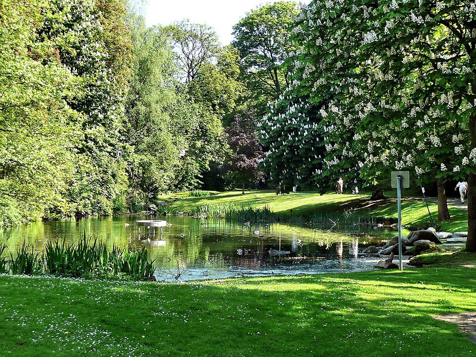 Park in Bochum-Werne mit Teich, Rasenflächen und hohen Bäumen, rechts eine blühende Kastanie